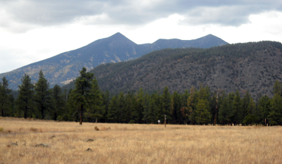 Flagstaff has amazing views and you will enjoy many outdoor and natural adventures in the area. This is a view of the San Francisco Peaks from Buffalo Park.