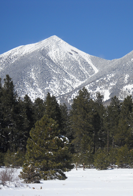 Flagstaff has snowy winters with skiing available at the Arizona Snowbowl ski slopes. This is a beautiful picture of the San Francisco Peaks and surrounding forest covered in snow.